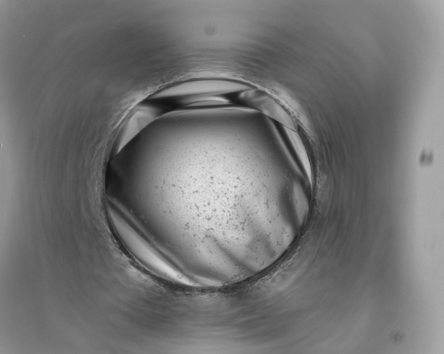 X0000096140385200802011215