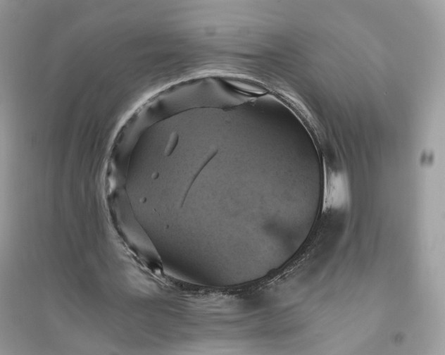 X0000096140387200802011215