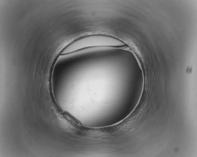 X0000096140389200802011215