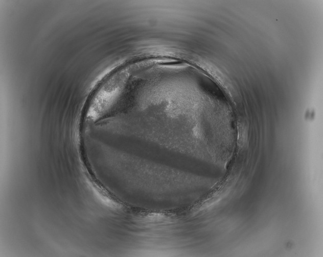 X0000096140390200802011215