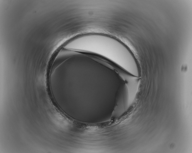 X0000096140391200802011215