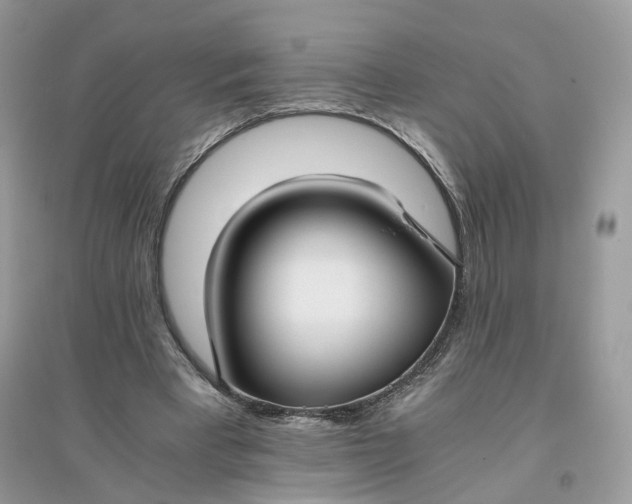X0000096140393200802011215