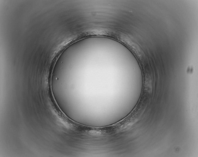 X0000096140394200802011215
