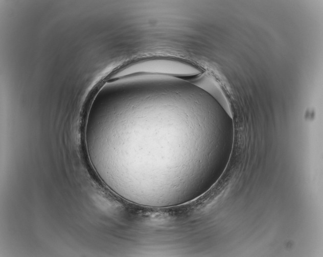 X0000096140395200802011215