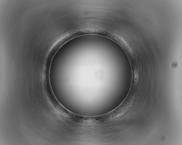 X0000096140396200802011215