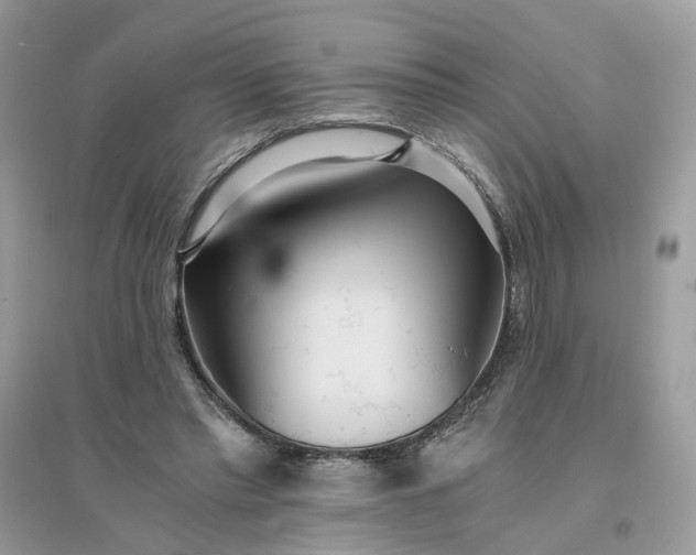 X0000096140397200802011215