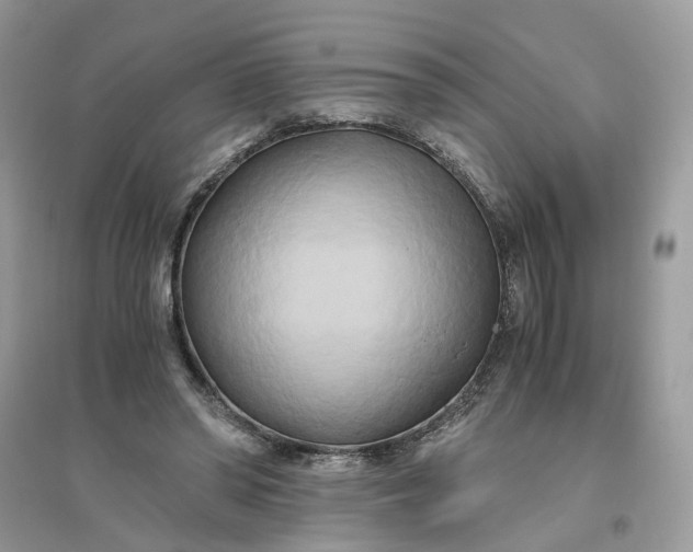 X0000096140398200802011215