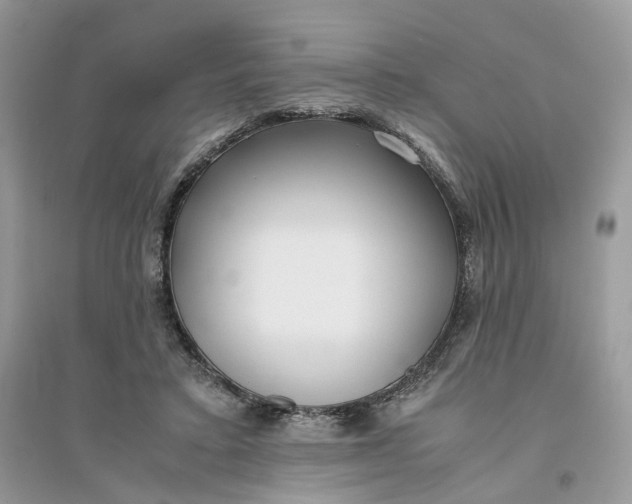 X0000096140403200802011215