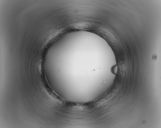 X0000096140404200802011215