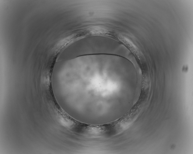 X0000096140405200802011215