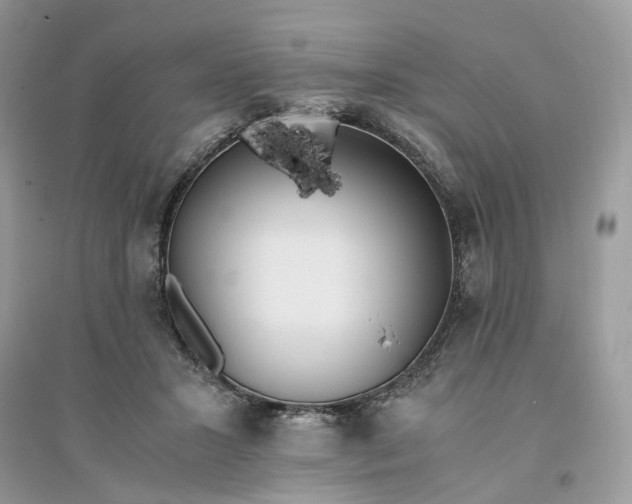 X0000096140407200802011215