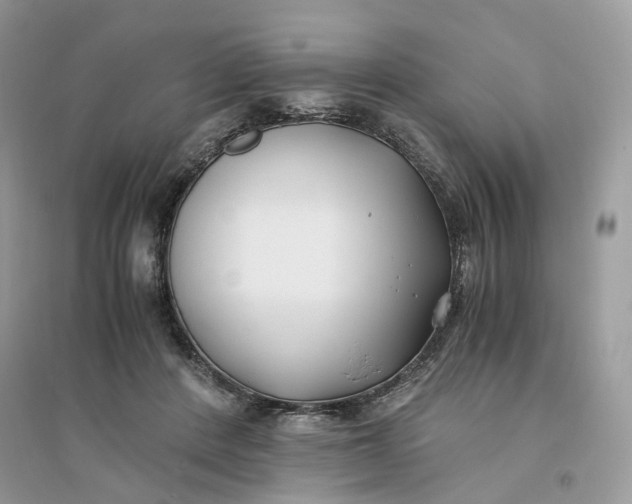 X0000096140408200802011215