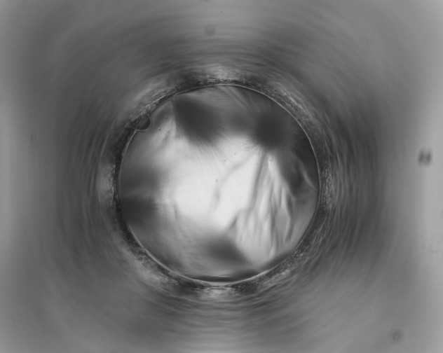 X0000096140410200802011215