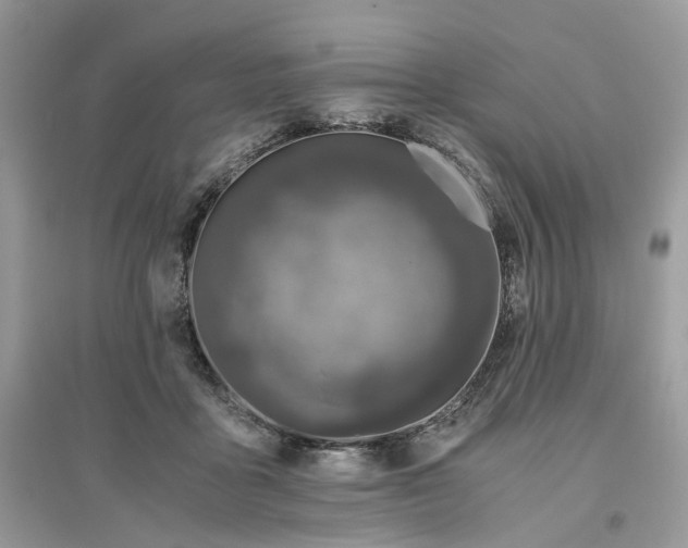X0000096140411200802011215