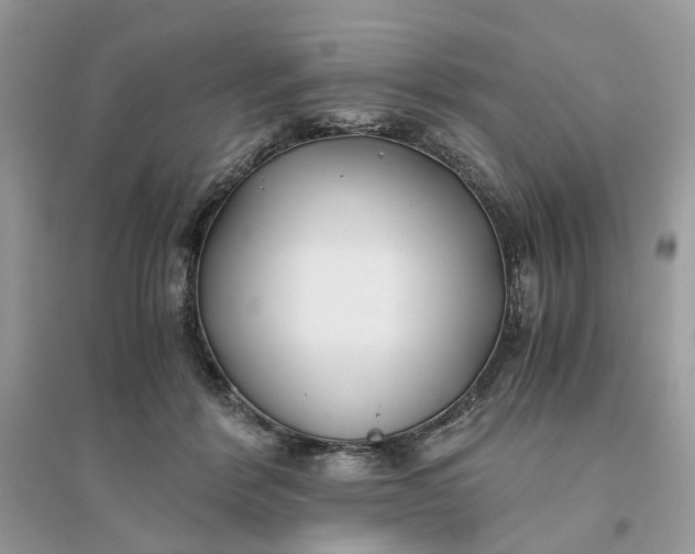 X0000096140412200802011215