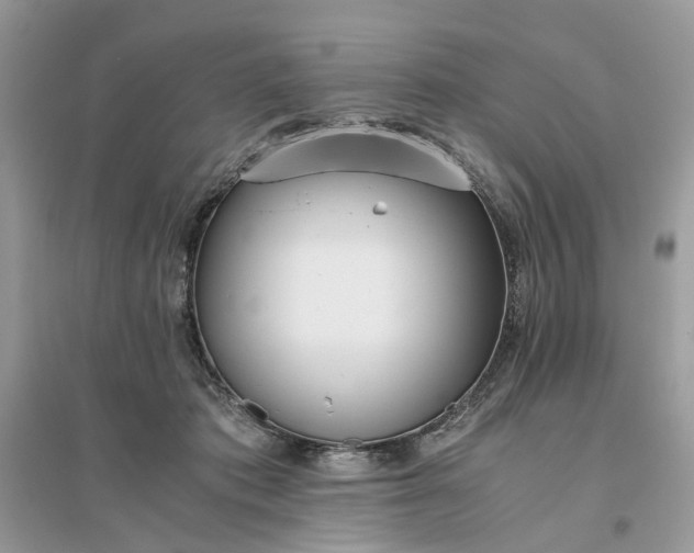 X0000096140413200802011215