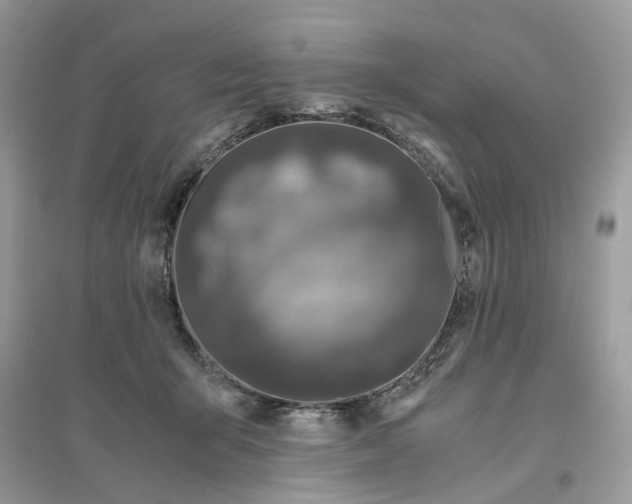 X0000096140415200802011215