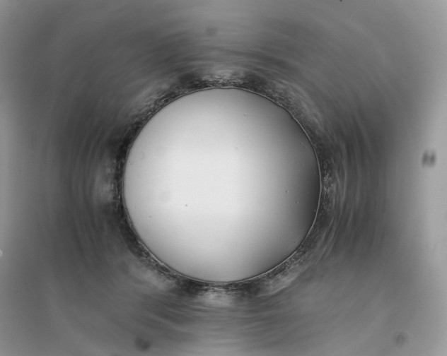 X0000096140416200802011215