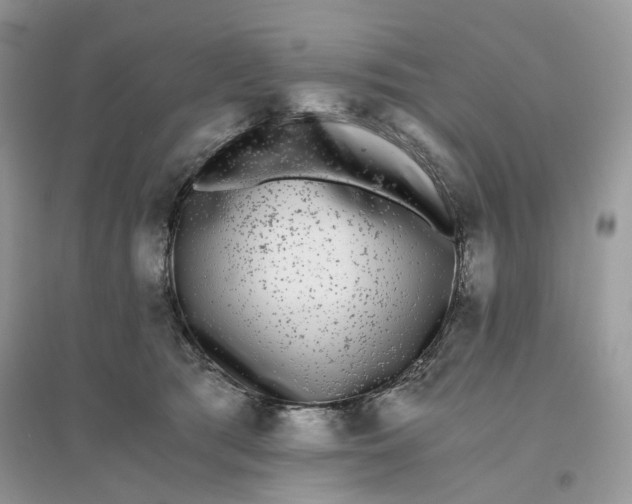 X0000096140417200802011215