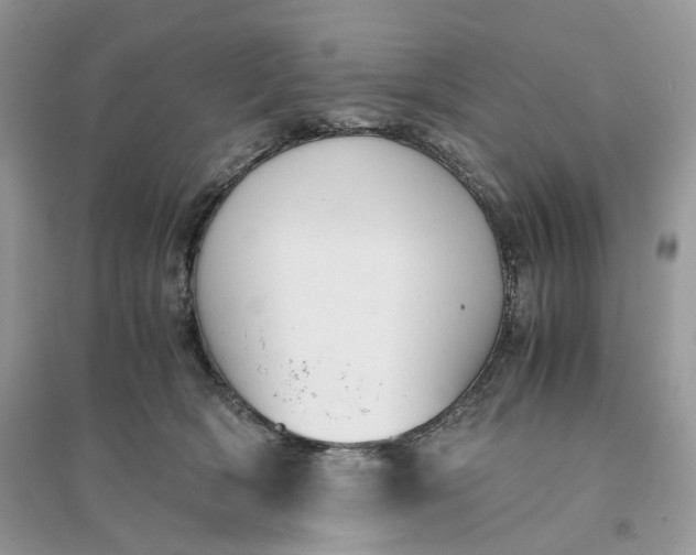 X0000096140418200802011215