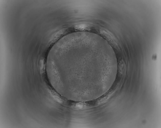 X0000096140420200802011215