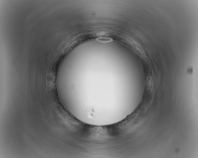 X0000096140421200802011215