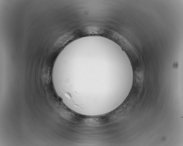 X0000096140422200802011215