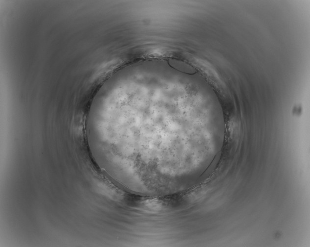X0000096140423200802011215