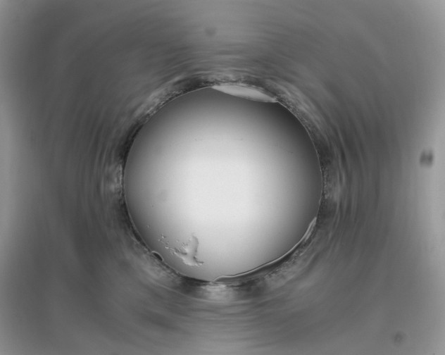X0000096140425200802011215