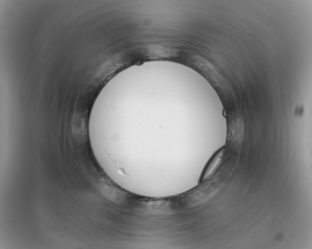 X0000096140426200802011215