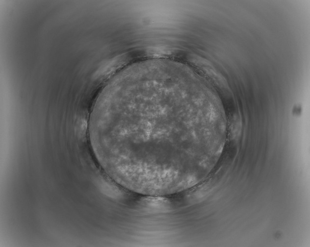 X0000096140427200802011215