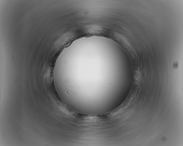 X0000096140428200802011215