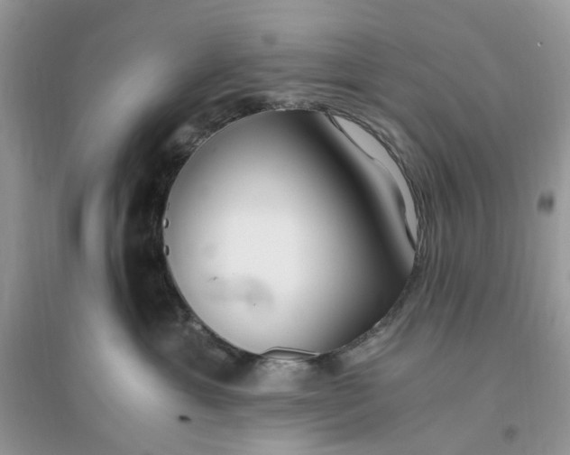 X0000096140429200802011215