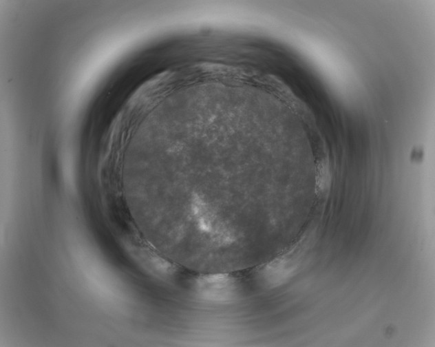 X0000096140431200802011215