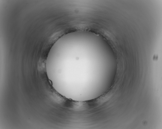 X0000096140432200802011215