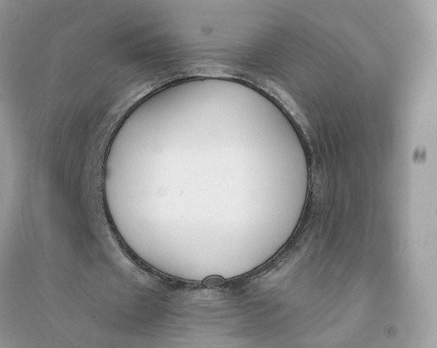 X0000096140433200802011214