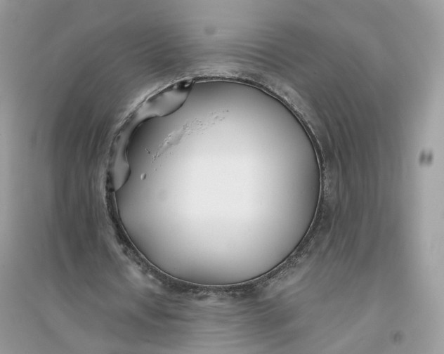 X0000096140434200802011214