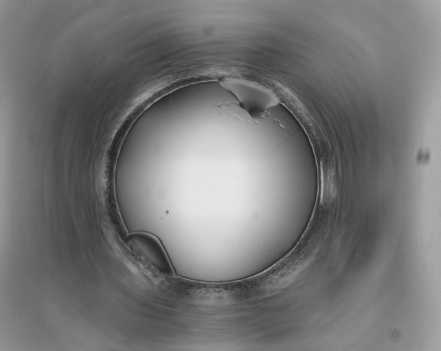 X0000096140435200802011214