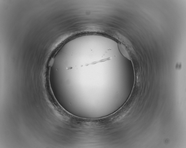 X0000096140436200802011214
