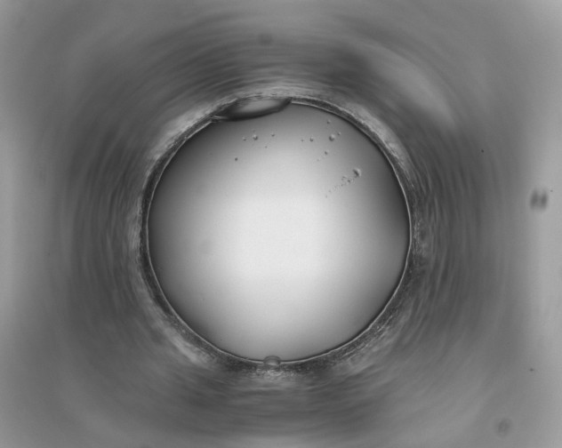X0000096140437200802011214