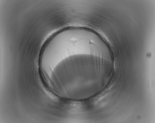 X0000096140438200802011214
