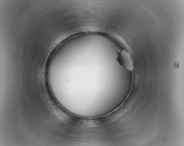 X0000096140439200802011214