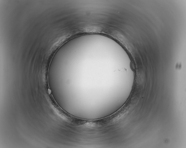 X0000096140441200802011214