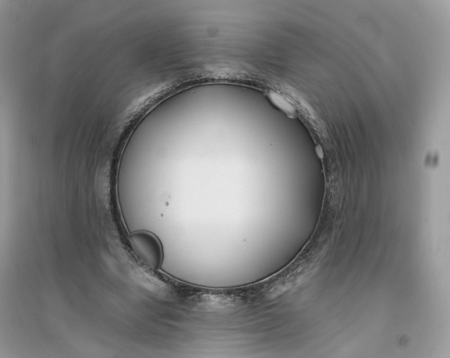 X0000096140442200802011214
