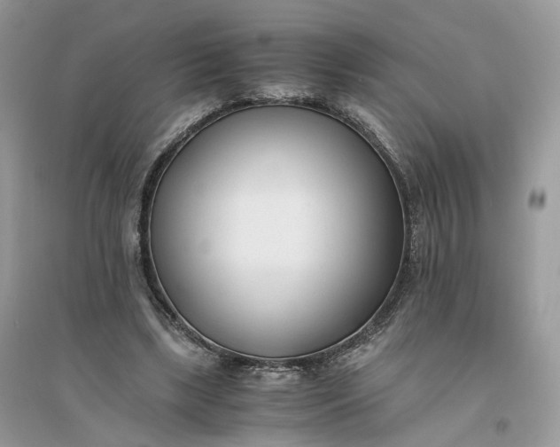 X0000096140443200802011214