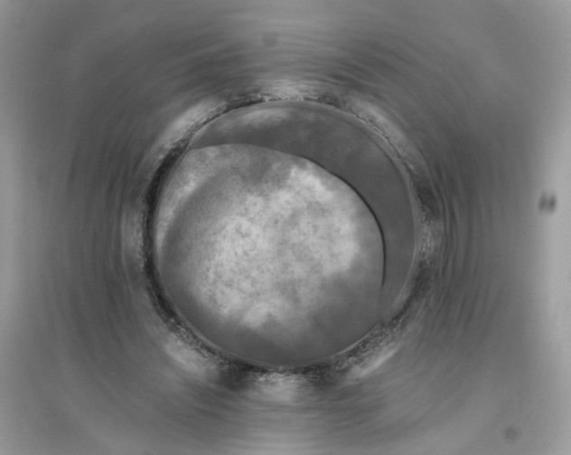 X0000096140444200802011214