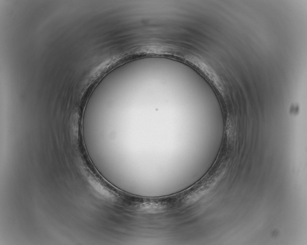 X0000096140445200802011214