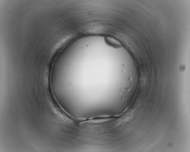 X0000096140446200802011214