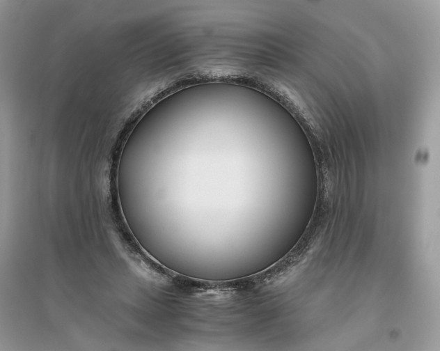 X0000096140447200802011214