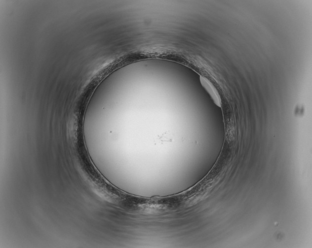 X0000096140448200802011214